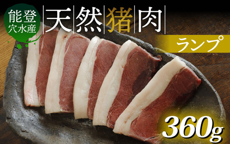 奥能登 穴水産 天然猪肉 ランプ 120g×3枚 計360g / 奥能登 能登半島 穴水町 お肉 にく 肉 ジビエ ランプ 猪 イノシシ いのしし 冷凍 天然 焼肉 焼き肉 ステーキ 