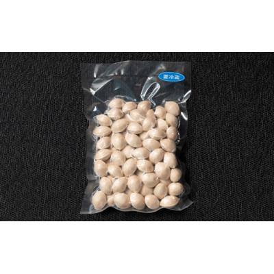 ふるさと納税 山辺町 【先行受付】殻付き銀杏 (ぎんなん)【2L】 約800g(200g×4パック) |  | 01
