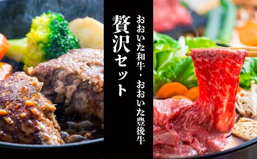 「おおいた和牛」モモ・ロースすき焼き肉（500g）＆豊後牛ハンバーグ（9個）贅沢セット 【スピード発送】F-13