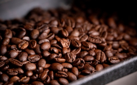 【YANAKA COFFEE】谷根千ブレンド コーヒー豆 500g (豆のまま)