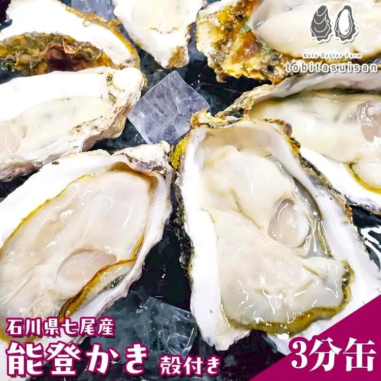 飛田水産　石川県七尾産　能登かき　殻付き3分缶 | 牡蠣 魚介類 訳あり 生活応援価格 ご家庭用 復興支援   ※要加熱 ※2027年1月～発送