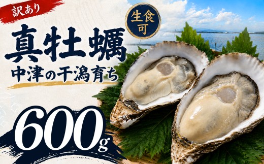 【訳あり】殻付き真牡蠣 600g | 牡蠣 カキ かき 真牡蠣 生食用 殻付き 海鮮 魚介 海のミルク おつまみ おかず 訳あり 家庭用 大分県 中津市