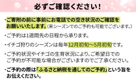 【志摩イチゴハウス】いちご狩り チケット ( 大人 1名様 分 ) 糸島市 / 株式会社 糸島農園 [APM001]