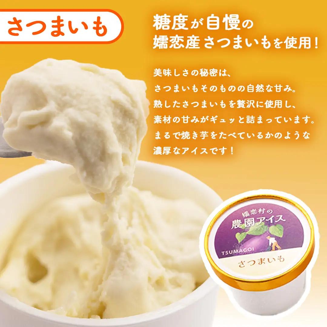 嬬恋村 の 農園 アイス 食べ比べセット 10個入（ さつまいも ・ ブルーベリー 各5個 ） [AT023tu]