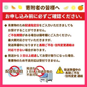 【先行予約】愛果28号 5kg みかん 紅まどんな 紅マドンナと同品種 果物 フルーツ 愛媛県 【11月下旬～12月下旬発送】【OS0032】