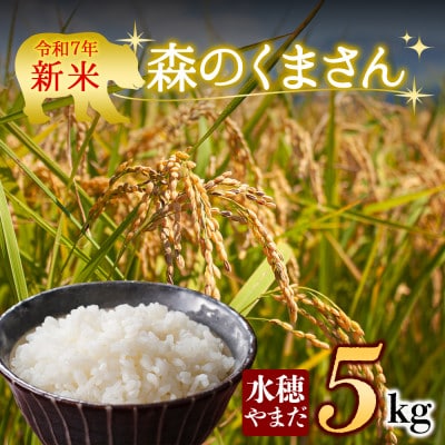 【予約】新米 令和7年産　森のくまさん 5kg (白米) 水穂やまだ【1646683】