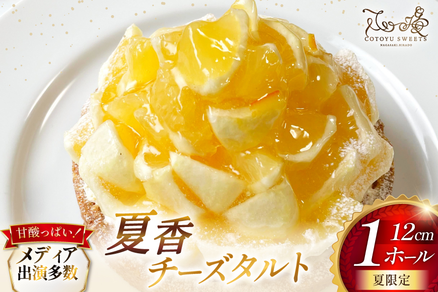 平戸特産 夏香 チーズタルト 1ホール 12cm [心優-Cotoyu sweets- 長崎県 平戸市 hr42bjo490186] タルト 柑橘 スイーツ スウィーツ デザート ギフト