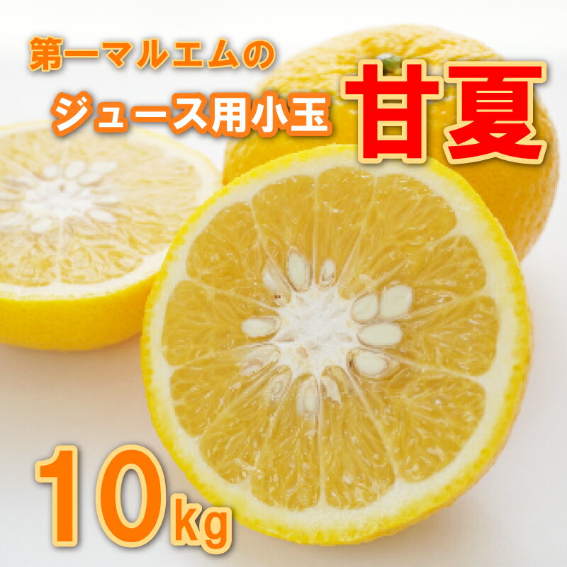 【ふるさと納税】 甘夏 小玉 10kg ジュース 用 7000円 みかん mikan 蜜柑 ミカン あまなつ 産地直送 国産 農家直送 期間限定 数量限定 特産品 ゼリー アイス 冷凍 みかん 等に 人気 甘い フルーツ 果物 柑橘 おいしい ジューシー ビタミン 健康 第一マルエム 愛南町 愛媛県