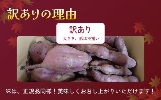 さつまいも4.5kg