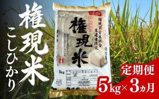 <定期便>権現米（ごんげんまい）15kg（5㎏×3回）【002380】