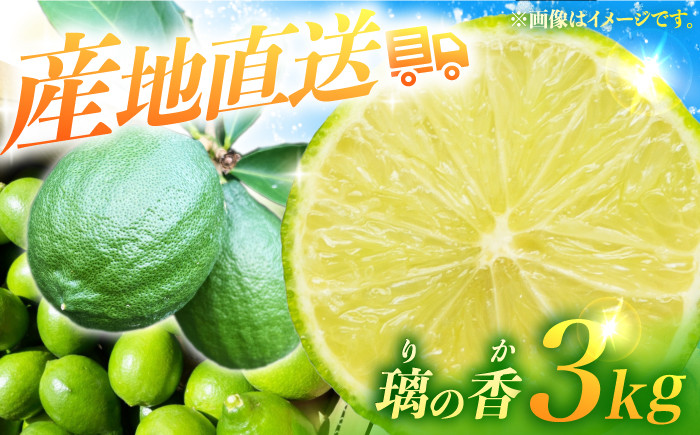 
            【長崎県長与町産】璃の香 （ りのか ） 約3kg レモン ー2025年8月下旬より発送ー 長与町/井上柑橘園 [EAA005] りのか レモン 3kg フルーツ 果物 くだもの 果実 柑橘 檸檬 れもん 先行予約 レモンティ レモネード 国産 産地直送
          