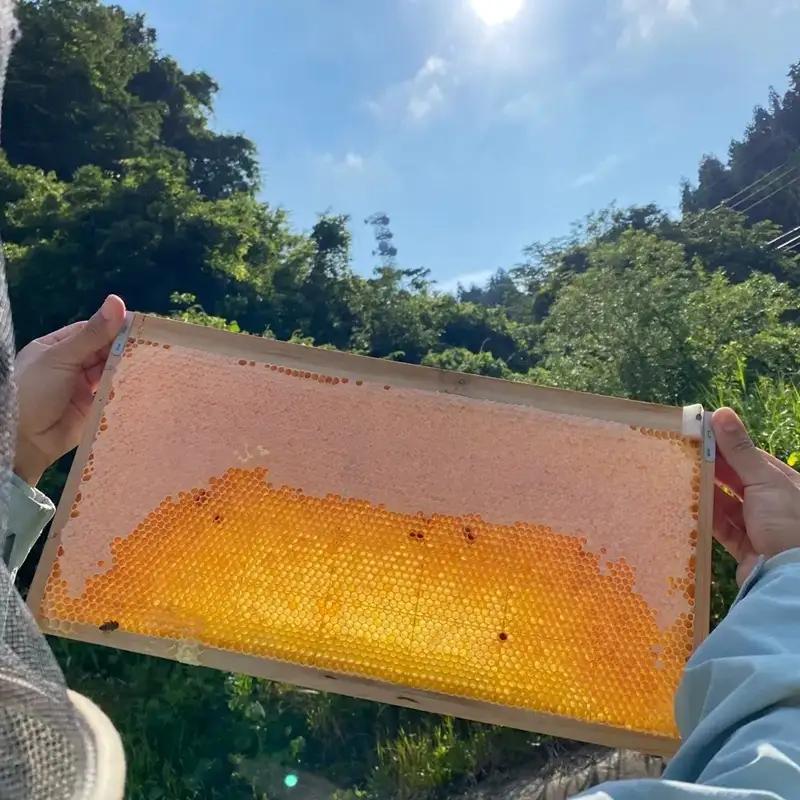 新潟県産はちみつ　あかしあ１kg