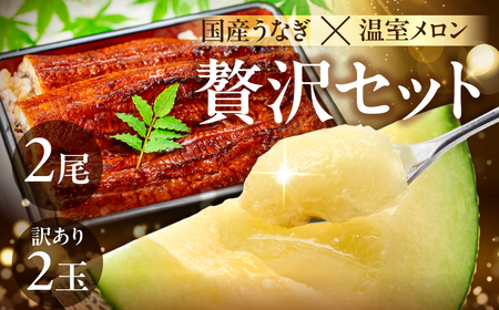 国産うなぎ & 温室メロン セット  うなぎ うなぎ うなぎ メロン メロン メロン