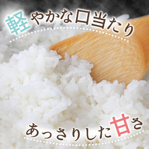 米 キヌヒカリ 20kg(10kg×2) 和歌山県産 【2023年産】