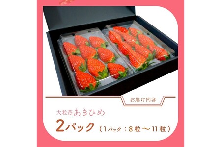 【完熟朝穫れ大玉いちご】章姫２パックセット/北畿水産