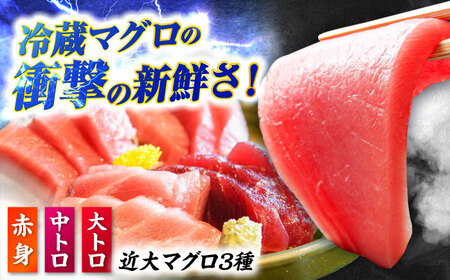 【冷蔵】長崎県五島産 近大マグロ約500g （大トロ/中トロ/赤身） 五島市/五島ヤマフ[PAK010]マグロ