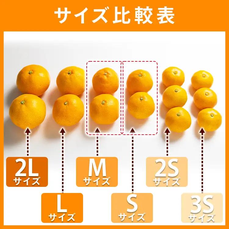 【柑橘】山北みかん 3kg 秀品 柑橘 yk-0080