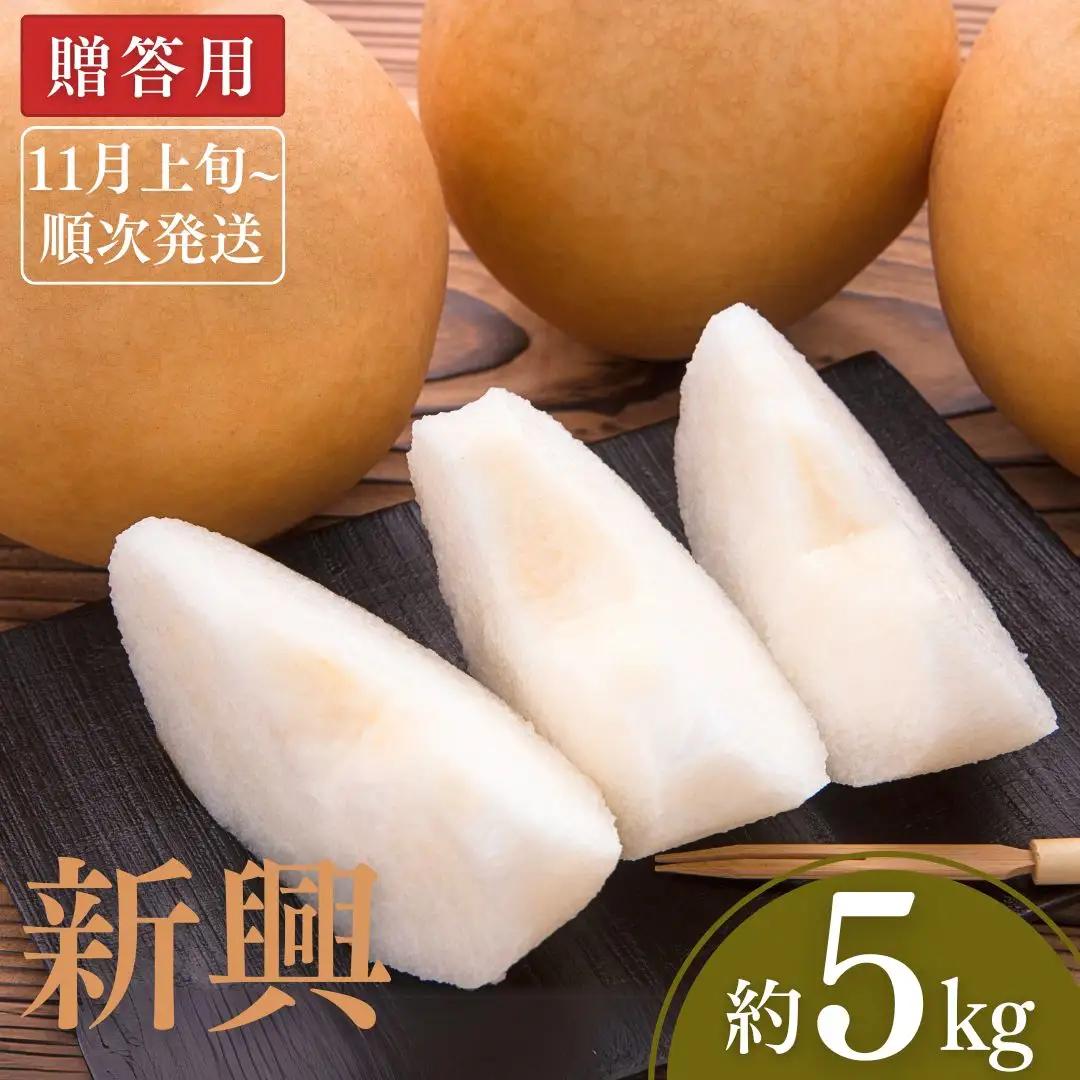 先行予約 和梨 新興 約5kg 新潟県 小林農園