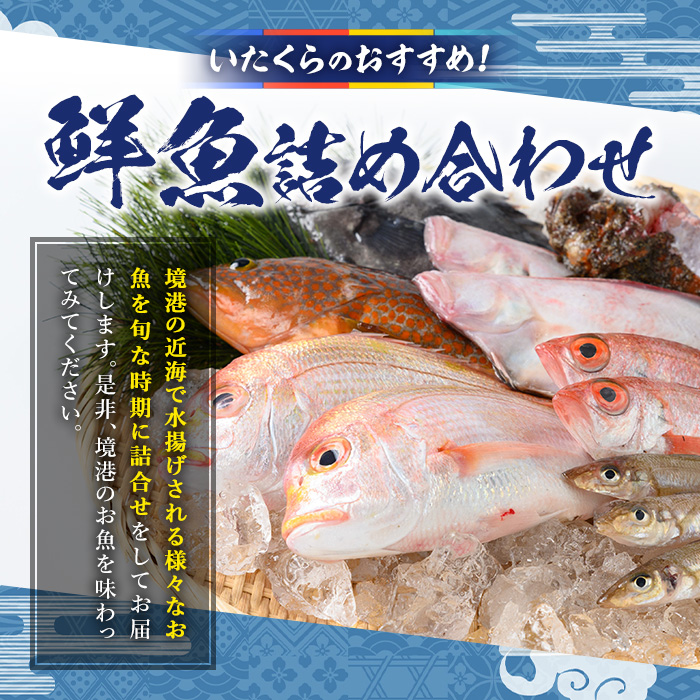 ＜平日着＞＜7～8月・年末年始配送不可＞おすすめ鮮魚詰め合わせ(4～5種類)【sm-AA003-A】【いたくら】