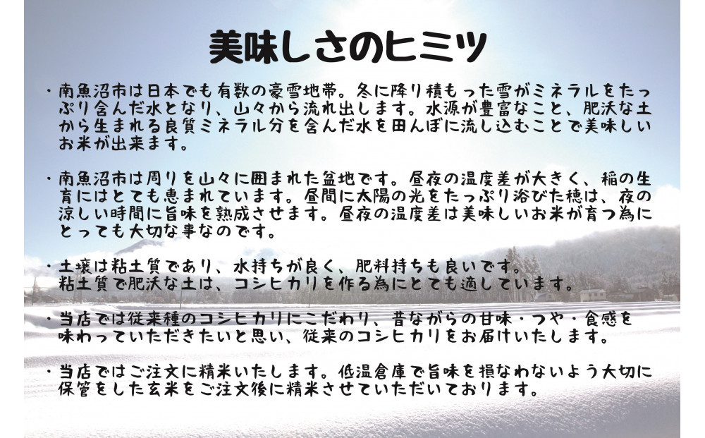 令和7年産 南魚沼産コシヒカリ特別栽培米 白米 5kg