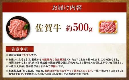 【2025年9月初登場】 佐賀牛 リッチな霜降り 大判 切り落とし 500g  【2月発送】／ 黒毛和牛 和牛 牛肉 お肉 肉 霜降り 九州 福岡県 太宰府市 冷凍
