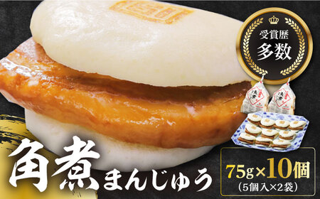 長崎角煮まんじゅう5個(2袋)  [WBC002] 角煮まん おやつ
