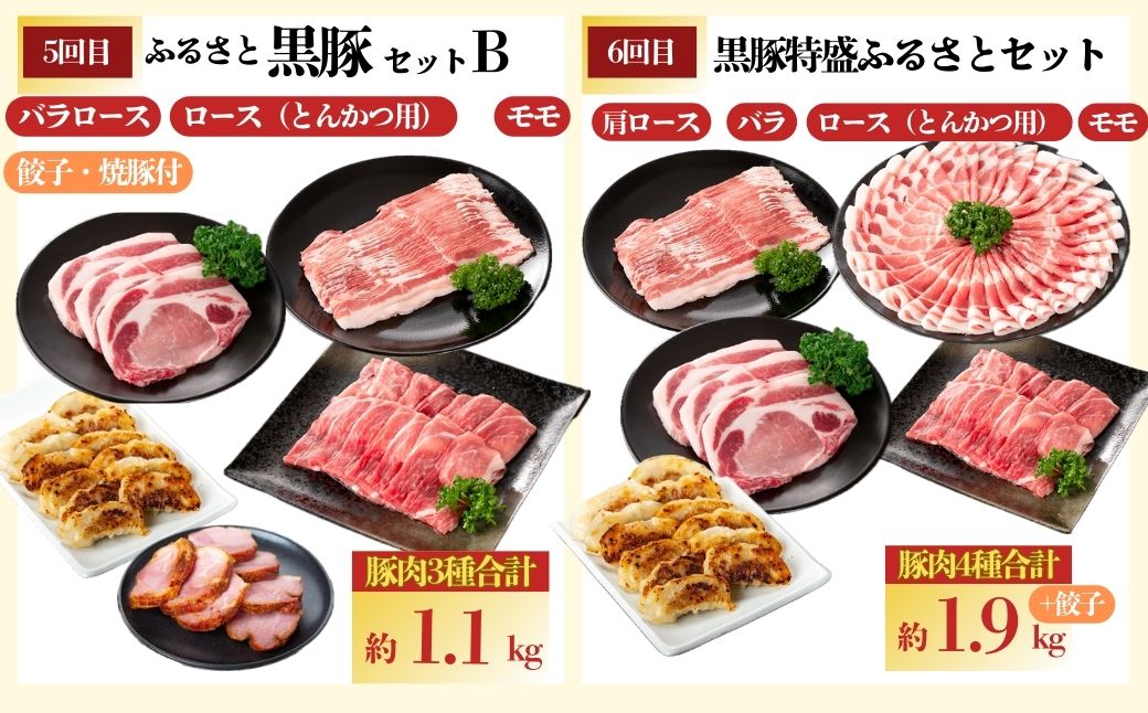 『かごしま黒豚ふるさと定期便』バラエティーセットC・全10回