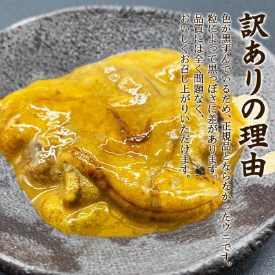 ふるさと納税 鹿部町 【訳あり】北海道産 ふり塩うに キタムラサキウニ 100g(100g×1パック) F79 |  | 01
