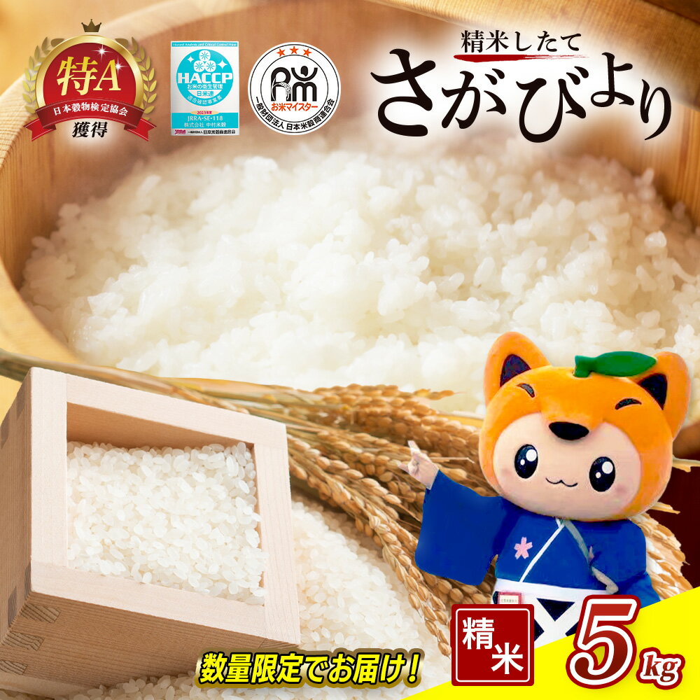 【ふるさと納税】新米 令和7年産 佐賀県産 さがびより 5kg 白米 | ふるさと納税 米 お米 新米 国産 佐賀県 鹿島市 ふるさと 大自然 安全 安心 リピーター 満足 美味しい オススメ 最高評価 人気 送料無料 C-174