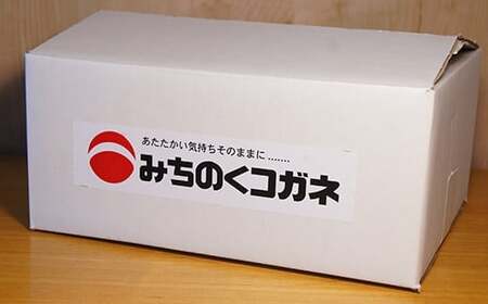 手造り 盛岡しお温麺 10食 セット 塩温麺 塩味 手作り 麵 冷凍生麺 黄金製麺所 業務用 冷凍 のし ギフト お中元 お歳暮 みちのくコガネ 岩手県 北上市 C0420