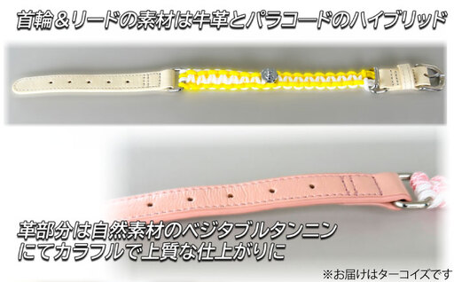 No.460-03 犬の首輪＆リードセット さんぽ用 ポンダープラス ターコイズ L ／ ペット用品 犬用品 ペットグッズ 散歩グッズ ワンタッチ 着脱簡単 ロック付き 高耐久 おしゃれ 丈夫 カラフ
