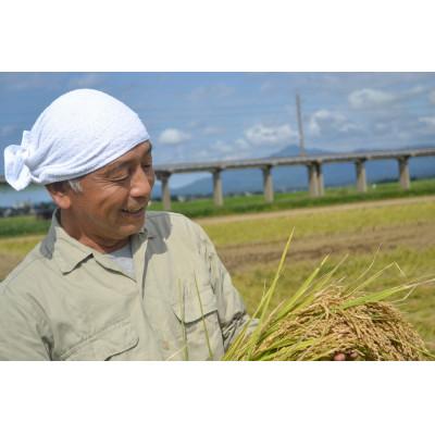 ふるさと納税 上越市 【令和7年産】新潟県上越産特別栽培米こしひかり5kg　精米 |  | 02