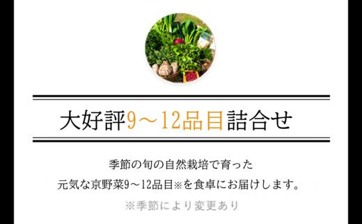 【3ヵ月定期便】 ＜鮮度抜群「京野菜」9～12品目詰合せ＞ ふるさと納税 定期便 京野菜 野菜 旬 新鮮 鮮度 自然栽培 自然農法 おいしい おばんざい 食べきり 詰合せ お取り寄せ 京都府 福知山市