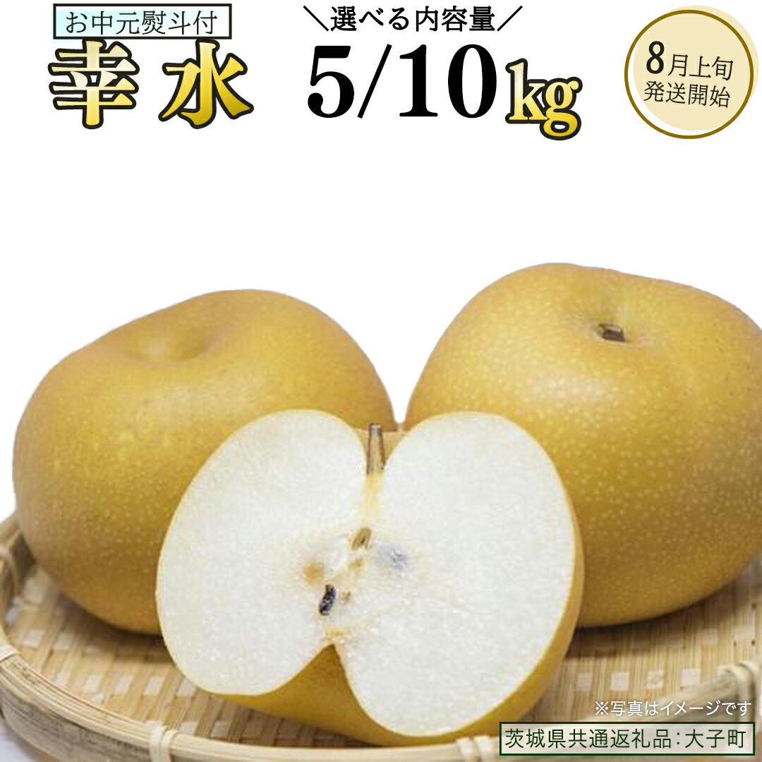 【ふるさと納税】《 選べる 内容量 》《 お中元 熨斗付き 》 幸水 約5kg / 約10kg 【2026年8月上旬発送開始】(茨城県共通返礼品：大子町) 梨 なし 果物 くだもの フルーツ
