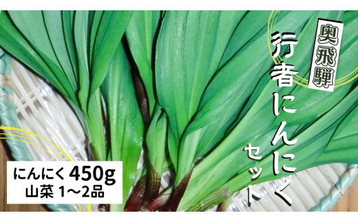 生行者ニンニク 450g 山菜【4月下旬～5月初旬発送】 syun123