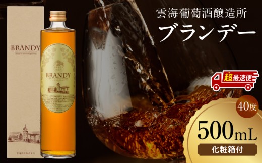 【超最速便】雲海葡萄酒醸造所 ブランデー 500ml_M375-005-01-1W