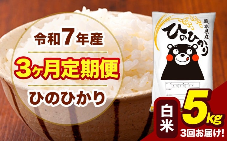 
            令和7年産 【3ヶ月定期便】 白米 米 ひのひかり 5kg《お申込月の翌月から出荷開始》熊本県 大津町 国産 熊本県産 白米 送料無料 ヒノヒカリ こめ お米
          