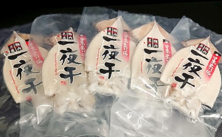 稚内産 するめいか一夜干し　大5枚セット【配送不可地域：離島】【1125907】