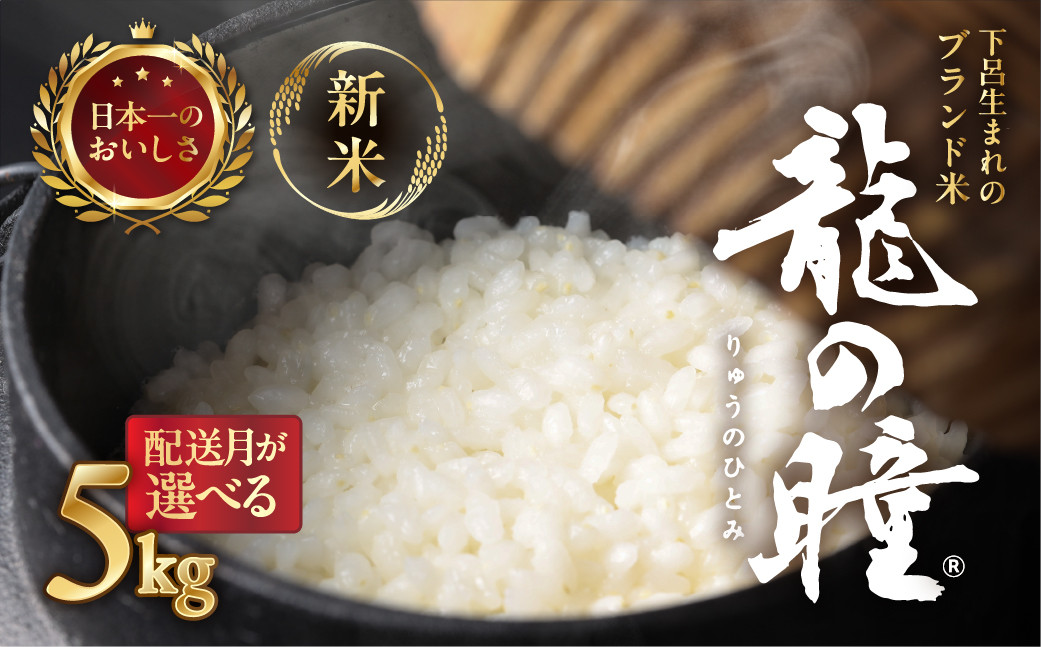 
            新米予約受付【2025年産米】5kg×1袋 飛騨産・龍の瞳(いのちの壱) 株式会社龍の瞳直送 米 5キロ 令和7年産 精米 ブランド米 りゅうのひとみ 龍の瞳 下呂市 下呂温泉 竜の瞳 下呂
          