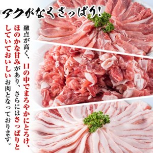 鹿児島県産黒豚セット 合計3kg 国産 黒豚 詰め合わせ 【Rana】A-411