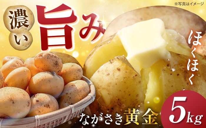 
                  南串産ながさき黄金5kg(春じゃが) 長崎県/南串ながさき黄金生産組合 [42ALAJ001]
                