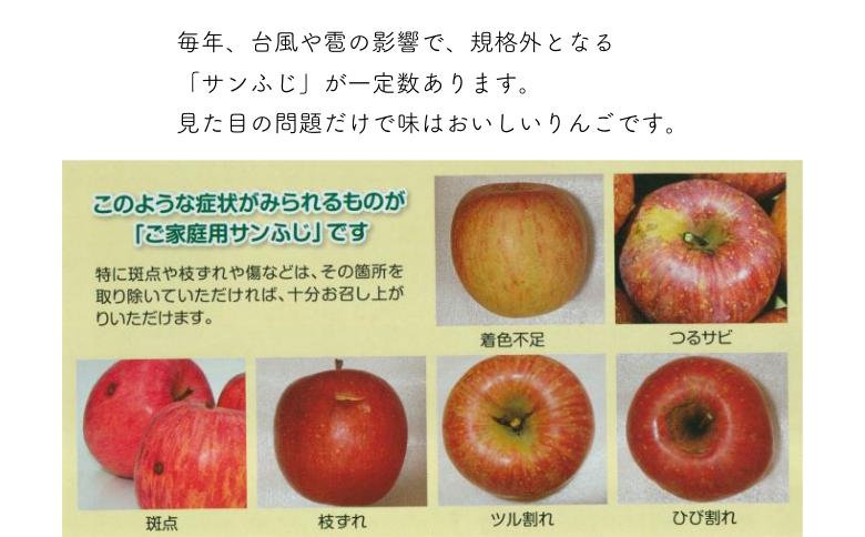 AS12-24A りんご サンふじ 越年自家用（松川町産） 約5kg ／2025年1月中旬頃～配送予定