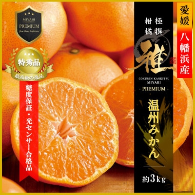 極撰柑橘【雅プレミアム】糖度保証・光センサー合格品「八幡浜温州みかん」約3キロ【C39−63】【配送不可地域：離島】【1614679】