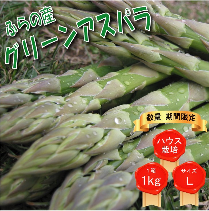 2025年春発送 ふらの産 グリーンアスパラ1kg［Lサイズ］ハウス栽培 富良野 北海道 野菜 アスパラ 朝採り