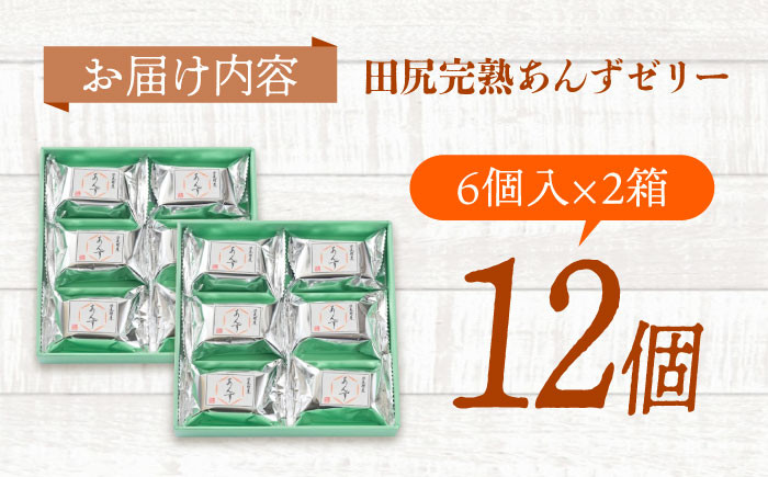 700日熟成 瀬戸内果実 ゼリー あんず フルーツ デザート おやつ