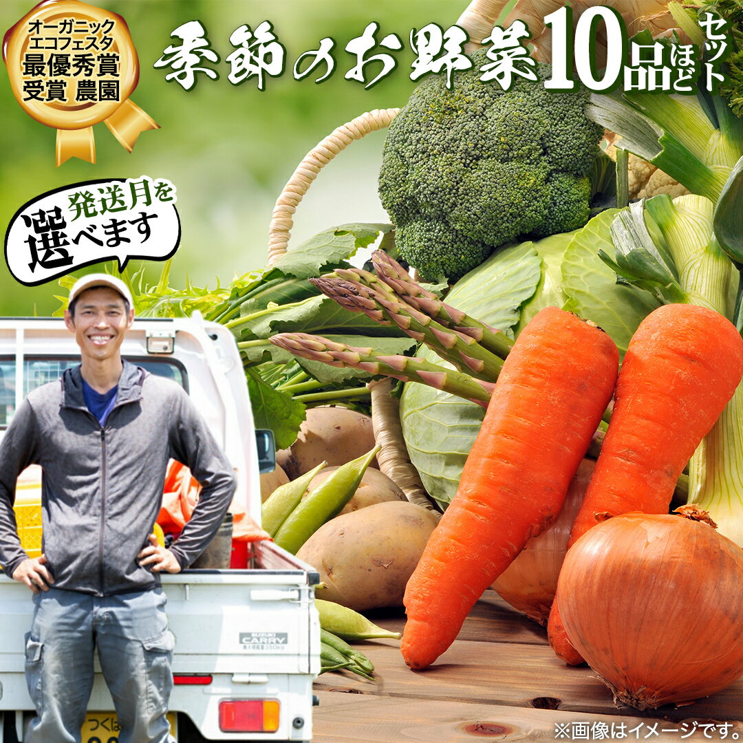 【ふるさと納税】 【2026年発送 先行予約】＼ 選べるお届け月／ 農家直送 季節のお野菜セット 食育 野菜 野菜セット 旬 詰め合わせ おまかせ やさい 農家直送 春野菜 夏野菜 セット 季節の野菜 新鮮 旬の野菜 収穫 農作物