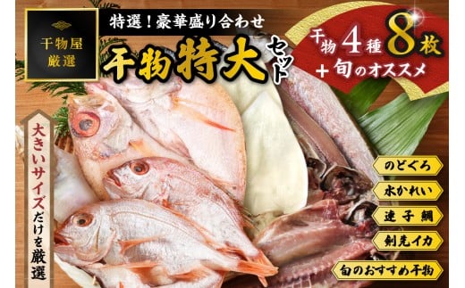 特選！！豪華盛り合わせ♪干物特大セット 魚介類 魚貝類 干物 干もの セット 干物セット のどぐろ ノドグロ カレイ かれい 蓮子鯛 イカ いか アカムツ 【033_1778】