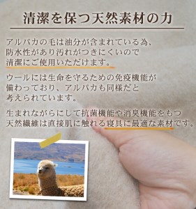 アルパカ毛布 ひざ掛けサイズ [2158] | 毛布