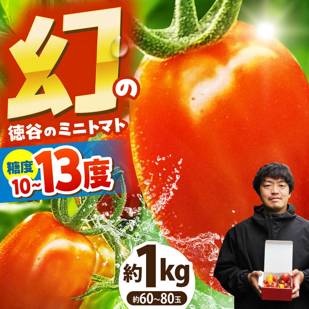 【ふるさと納税】 【先行予約】 徳谷はじまりトマトのミニトマト 約1kg ミックス〈2026年3月〜発送〉 /ミニ プチ トマト 高糖度 高知トマト 【株式会社Dorago】[ATAM051]