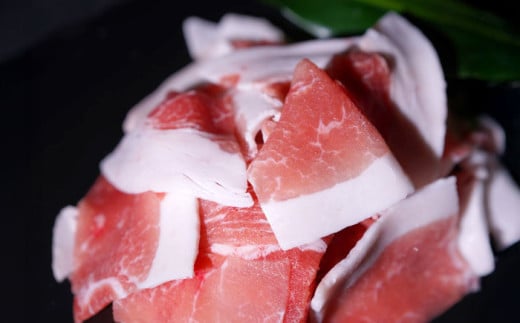 『香心ポーク』 切り落とし 約250g×16パック（計約4kg）豚肉 冷凍 熊本県産 【有限会社 コーシン】 [AYCK001]